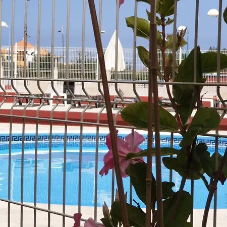 Apartamento Tipo Estudio En *